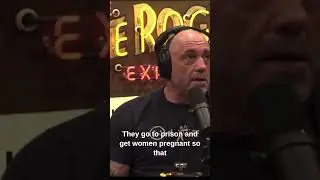 JRE: Trans Male Inmates in Female Prisons: Is it Fair? #joerogan #prison #debate #transition