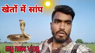 Barish me janvaron se savdhan My new vlog video sap ki jan gai snake rescue