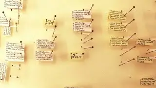 Science Stand EP 6: SignificANT research techniques! Let&rsquo;s talk about ants!