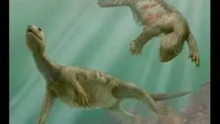 new transitional fossil for evolution