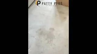 Surrey Carpet Cleaning, Dorking - Patty Plus Services