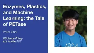 Enzymes, Plastics, and Machine Learning: the Tale of PETase | Peter Choi | Sci Fri