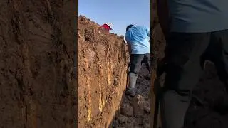 This Yam Growing In Deeper Soil Has The Best Taste #satisfying #shortsvideo