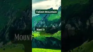 Tallest Mountain