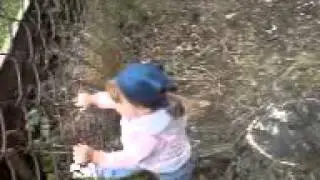 MOV00455