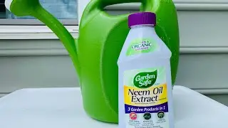 Best organic pesticide for garden | Neem Oil Extract | How to keep bugs away from garden