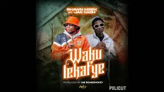 SHAWN MEEK FT JAE CASH- Wakulekafye