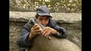 Gajdexhiu