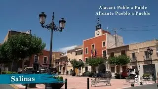 SALINAS. Alicante pueblo a pueblo