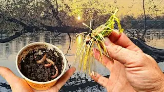 I tested Live Bait vs Jigs