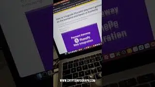 How to integrate phonepe payment gateway in node.js react.js.  #reels     