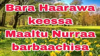 Bara Haarawa hojiin maaliin simatuu qabna?#Bara haarawaan ayyaa neffatuu ija islamummaatiin akkami? 