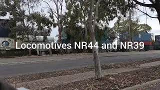 NR44 and NR39 LEADING 7MP5 