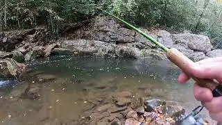 Hunting in trout!