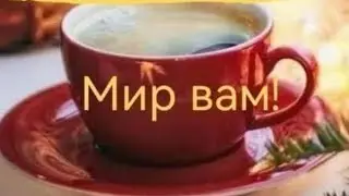 Наши планы🥰#приютсолнышко 🌞🐈🐕🐶🐱❤🙏