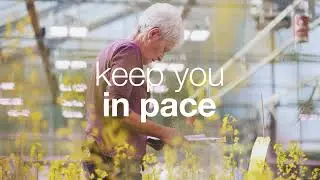 KWS #OneStepAhead - with KWS oilseed rape seeds & solutions