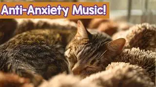 Intense Anxiety Relief for Cats - Soothing Magic Cat Music 🐱✨