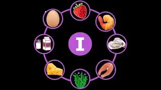 Iodine: Best Foods, Timing & What to Avoid for Thyroid & Brain Health