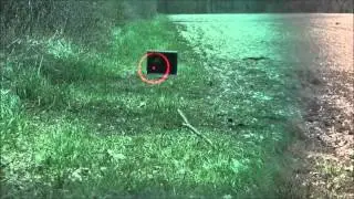 RUGER 10/22 Carbine Reflex Sight (red dot) (POV)  2