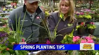 Sherman spring gardening tips