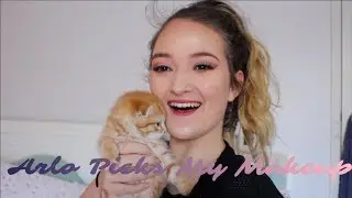 Kitten Picks My Makeup! | Kathryn May