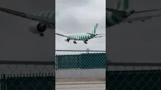 Condor Airbus A330 Green Island Livery Arriving at LAX From Frankfurt, Germany! #planespotting