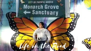 Virtual Tour Monarch Grove Sanctuary City of Pacific Grove