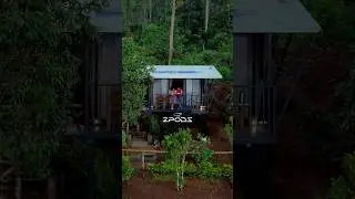Zpodz at Campper Camp Woody &ndash; where luxury meets wilderness #glamping #luxurystay #munnar