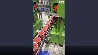 Can Filling & Seaming Machine | High-Speed Canning Line | TAYMAZ