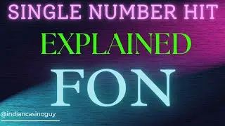 SINGLE NUMBER HIT IN ROULETTE | EXPLAINED USING 