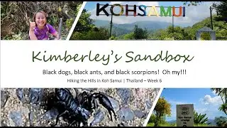 Hiking the Hills in Koh Samui Thailand - Week 6 of exploring!