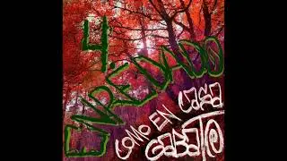 4.  Enredado - GaBaTo