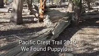 Pacific Crest Trail 2019 - Day 70