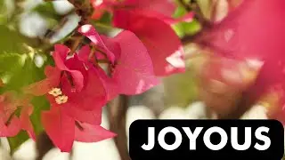 MORE JOY - AMBIENT MEDITATIVE SOUND BATH | DIVINE MUSIC