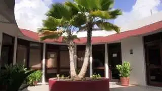 Avalon University - Study medicine at one of the top Caribbean Medical Schools