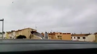 Gavines a la Gu&agrave;rdia el despertar del barri