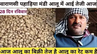 28 December 2025 आलू का होलसेल रेट 🥔 पहाड़िया मंडी वाराणसी #potato today market wholesale price