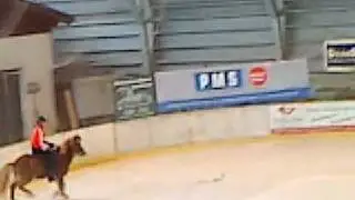 Eist&ouml;lt Velden yngvi blesi rennpass