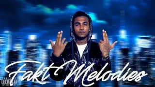 FAKT MELODIES - SNII CHOPPA  ( VISUALIZER )