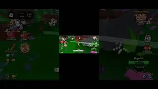 Xapy