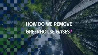 How do we remove greenhouse gases?
