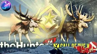 🔴LIVE🔴868 Kills GREAT ONE Moose Grind & STARTING GO Black Bear   | CALL OF THE WILD.