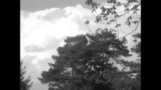 Wind... Gedicht vertont