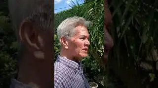 VLOG20_BONSAI GARDEN AT DAU, MABALACAT, WITH LITO GOMEZ