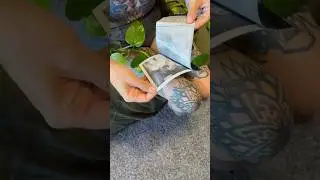 Taking Double Exposure Photos on super rare and VERY expensive peel apart Polaroid instant Film!