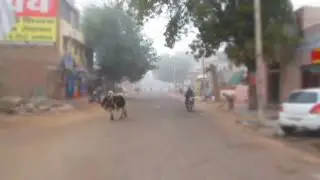 Amazing Winter.. Bikaner Fog