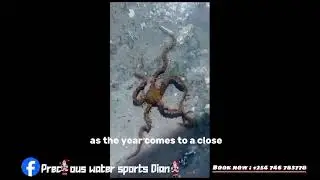 WAAAOH ,SO MUCH WATERSPORTS ACTIVITIES IN DIANI BEACH 🏖️🌊🥰