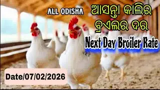 #AllOdishaNextDaybroilerRate #Date_07_02_2026 Next day Broiler Rate #mkcrazy