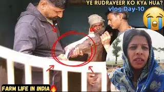 🚨 Rudraveer Ki Tabiyat Kharab! 😢 Farm Animal Emergency | Village Life Vlog Day-10