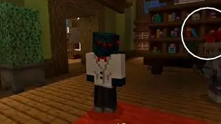 MC Observer